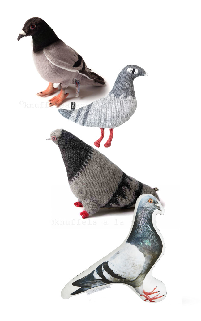 Pigeons to cuddle Oeuf NYC pablo pigeon