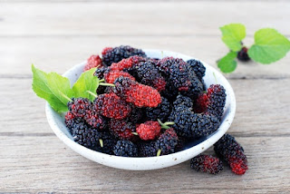 Mulberries protein value
