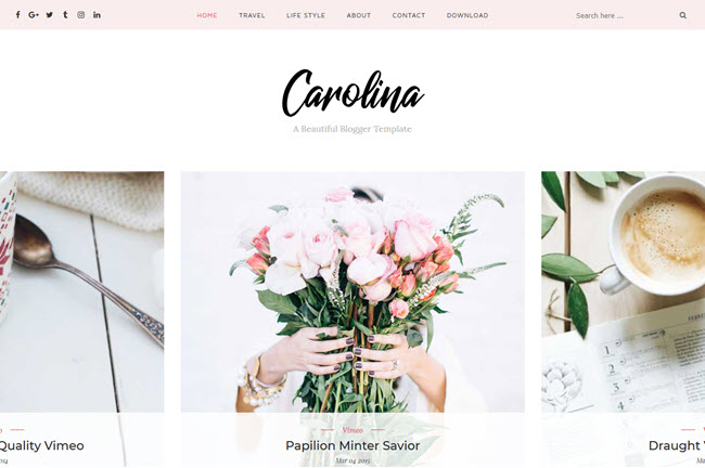 Carolina - Personal Blogger Template