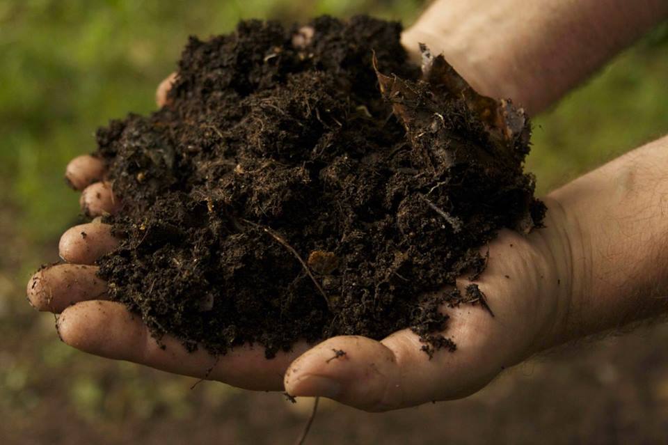 5 Simple Strategies to Feed and Protect Soils