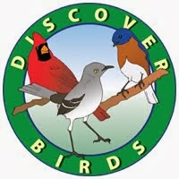 Discover Birds Blog