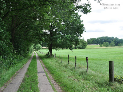 Hohenaspe Eine Gemeinde Stellt Sich Vor Juli 2017