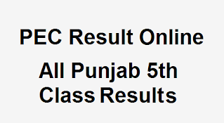5th Class Result 2022 Check Online - All Boards 5th Results - Punjab Examination Commission