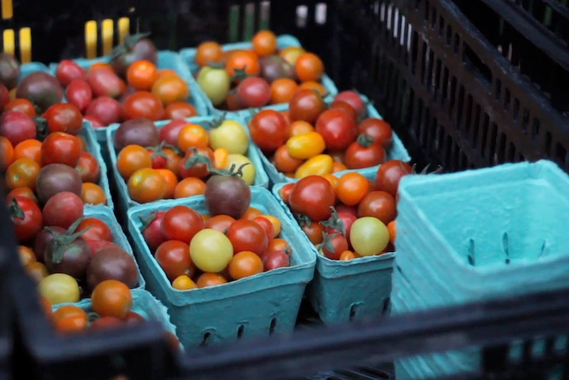 Kitchen by Aubergine Cherry Tomato Galette