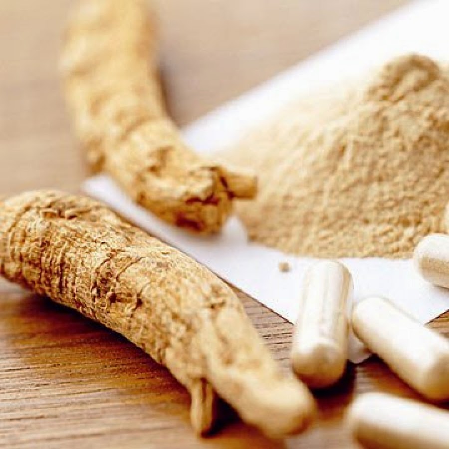 A ALQUIMIA DA CURA Ginseng3
