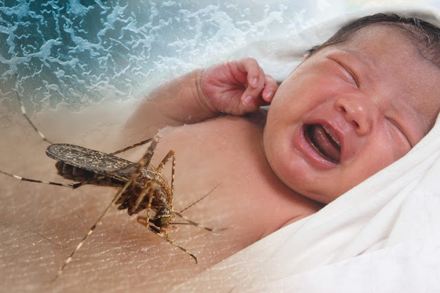 How Dangerous Is Zika For Babies, Really?