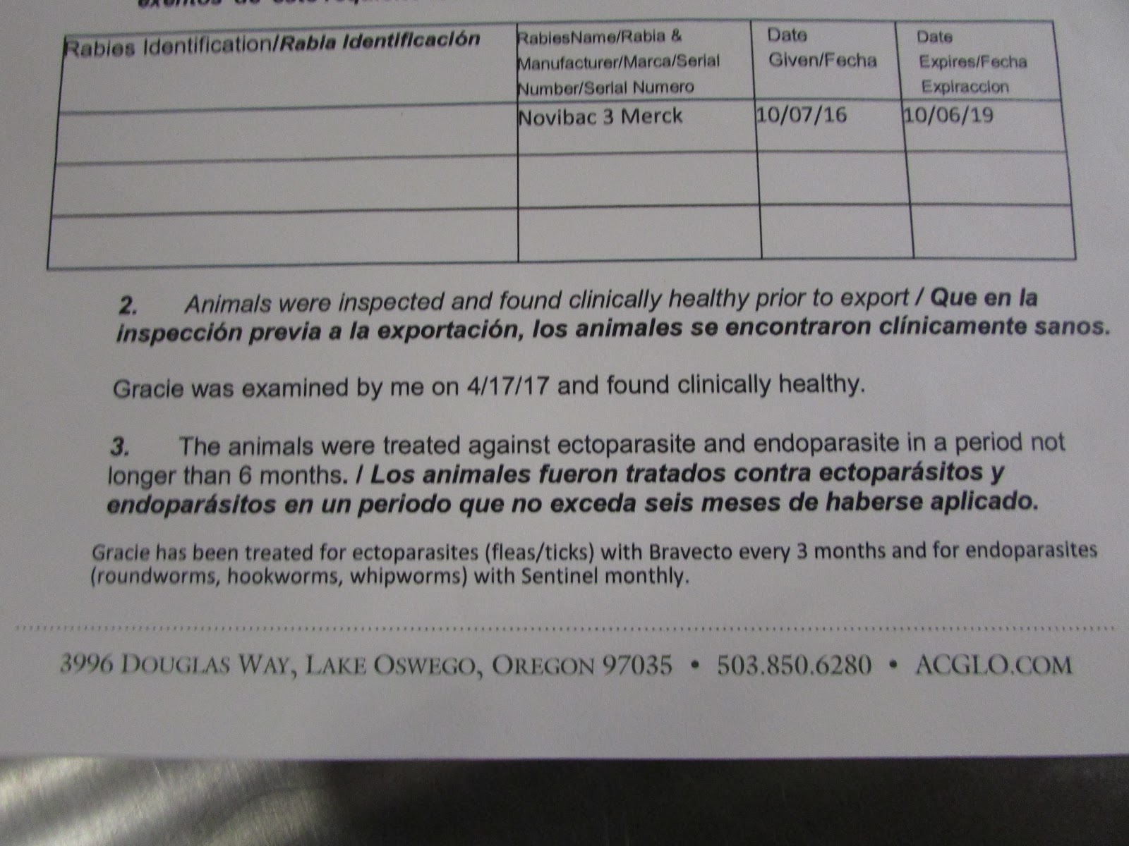 health certificate for dogs retirement before the age of 59 bringing your pet into health certificate for dogs retirement before the age of 59 bringing your pet into