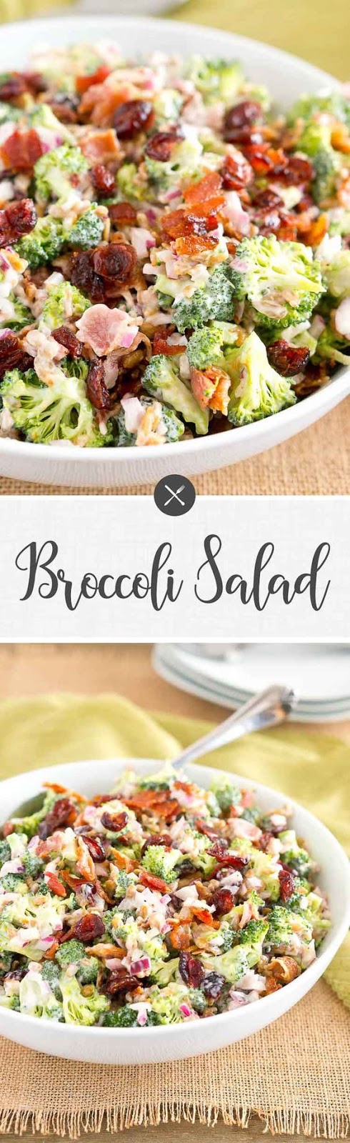 This Broccoli Salad is made with bits of salty bacon, tangy red onion, sweet craisins and crunchy sunflower seeds. Perfect for potlucks and so delicious! #glutenfree #grainfree #healthy #potluck #salad #memorialday #bbq #grilling