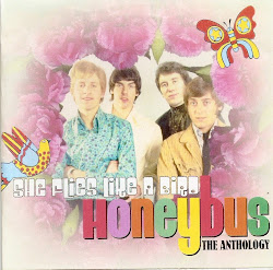 anthology flies bird she maggie let