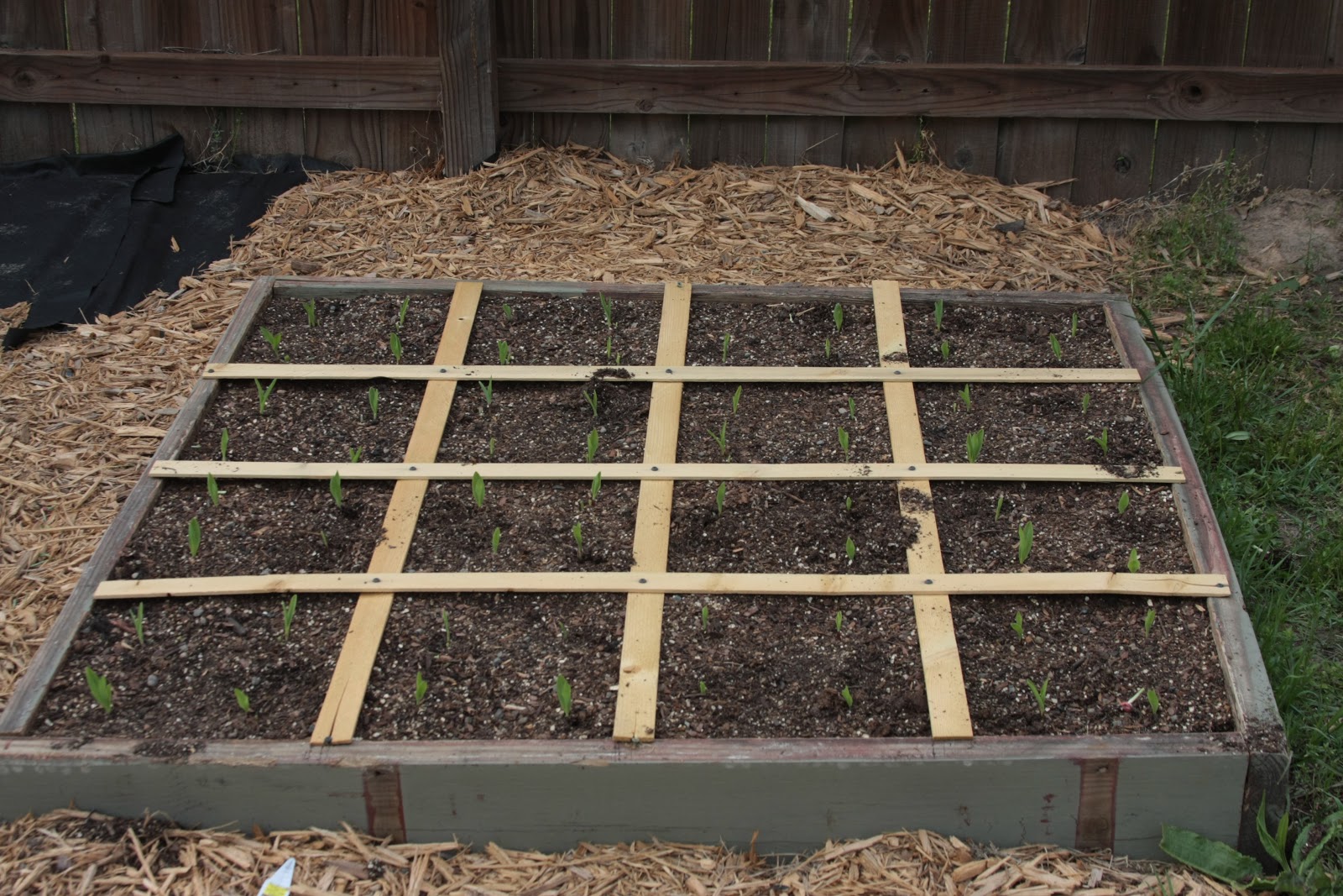 My Square Foot Garden Journal