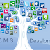 Select a Best Content Management System Service for finest Web Solutions