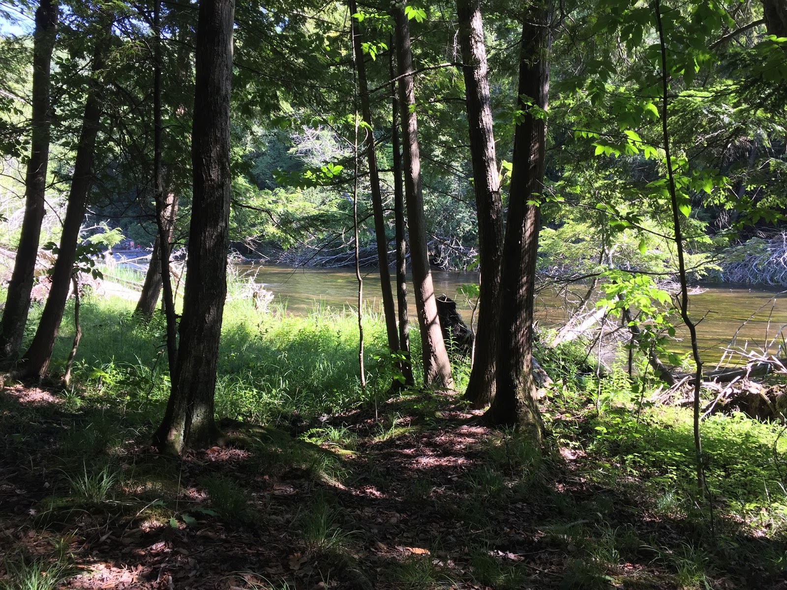 Travel Reviews & Information Benzie County, Michigan / Upper and Lower