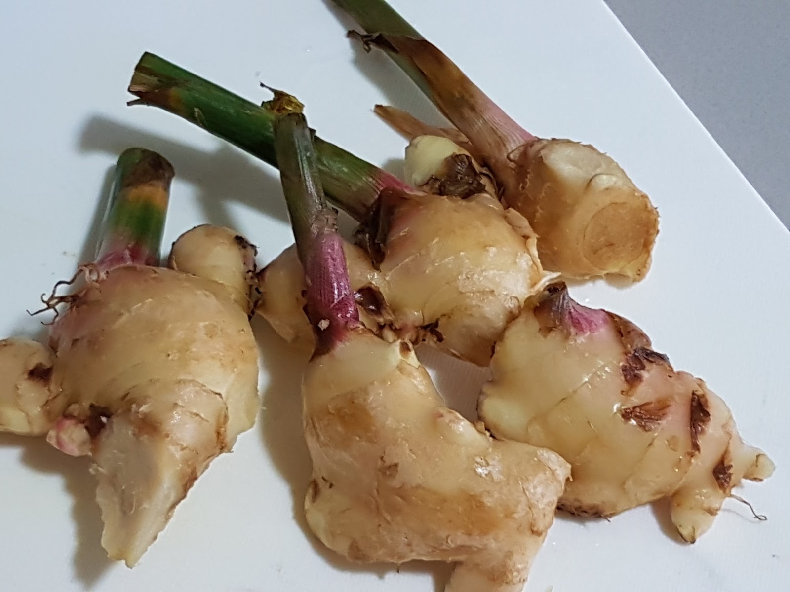 Japanese Pickled Ginger