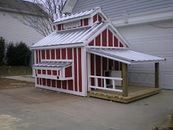 chicken keeping natural coop