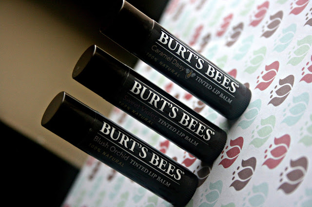 Burt's Bees Tinted Lip Balm Spring 2013 Sweet Voilet, Caramel Daisy, Blush Orchid