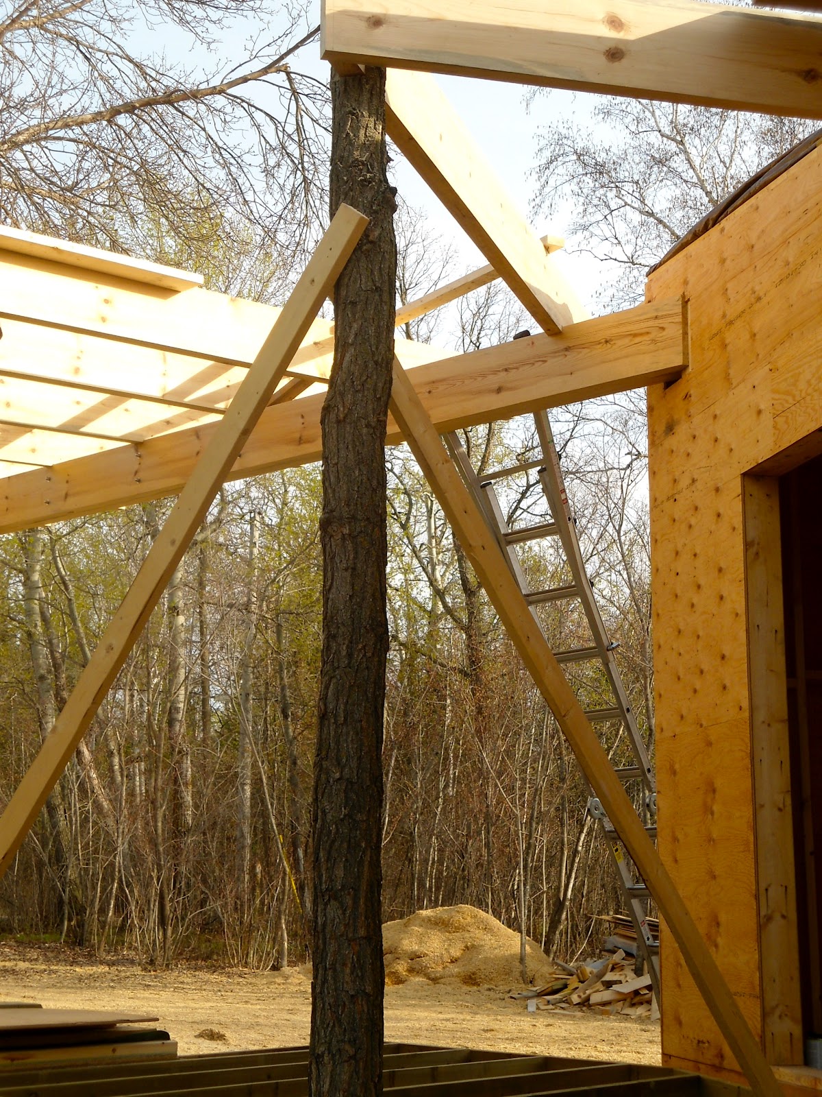 M and M Cottage Very locally sourced materials