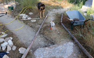 Using the wooden poles to lay out the path Using the wooden poles to lay out the path