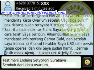 Obat Kista Indung Telur Tradisional Yang Ampuh Obat Kista Indung Telur Tradisional Yang Ampuh