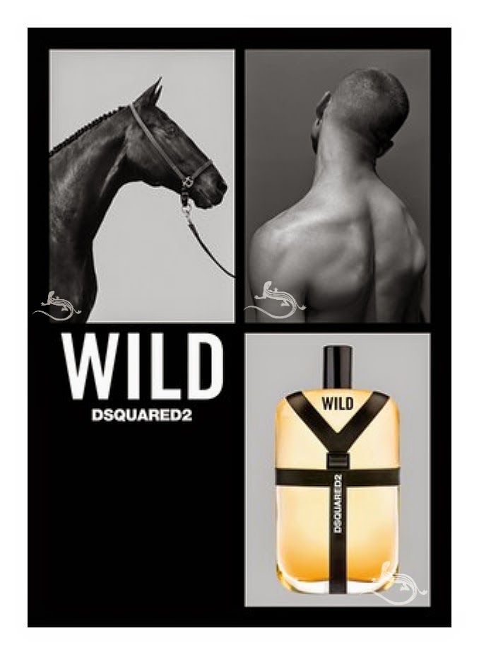 WHAT'S NEW" WILD de Dsquared2. A raw roll in the hay.
