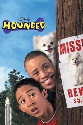 Hounded 2001 Hindi Dual Audio HDTVRip 480p 350Mb x264