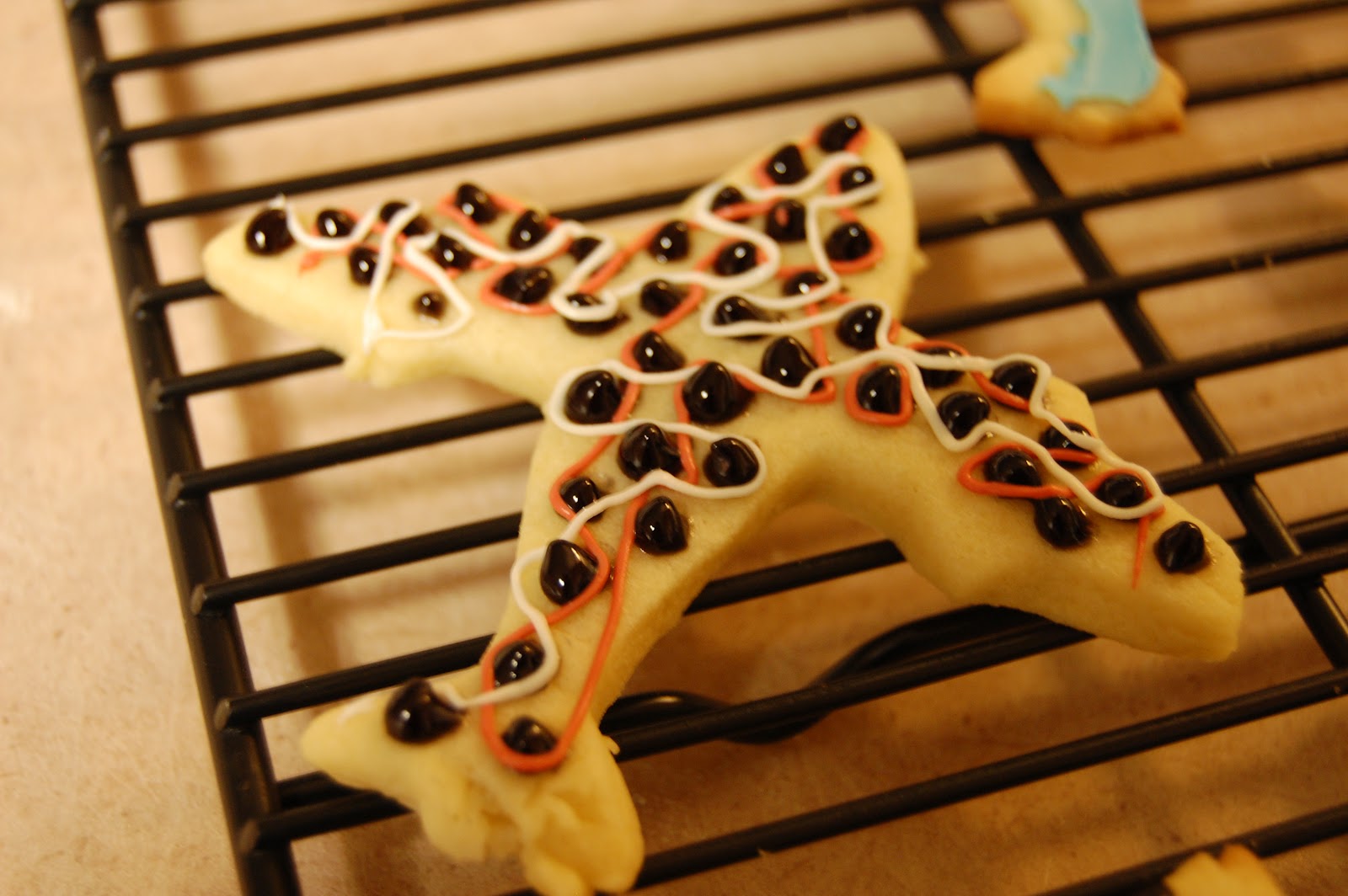 paint it pretty Sugar cookie airplane cookies