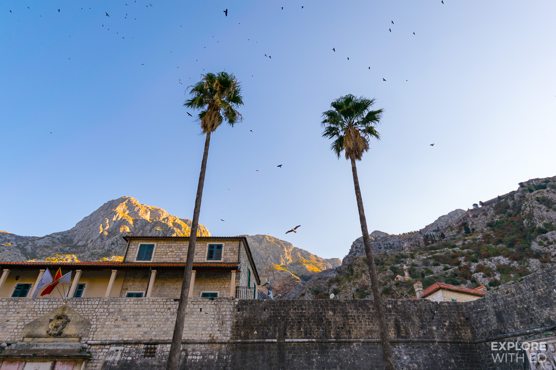 Old Town entrance in Kotor