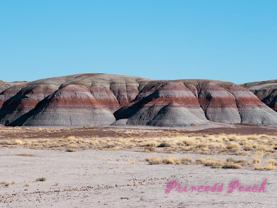 Petrified-Forest-National-Park-石化森林國家公園-Badlands