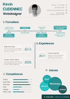 Portofolio Lamaran info grafis