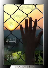 ��������� 16_01166395990.jpg