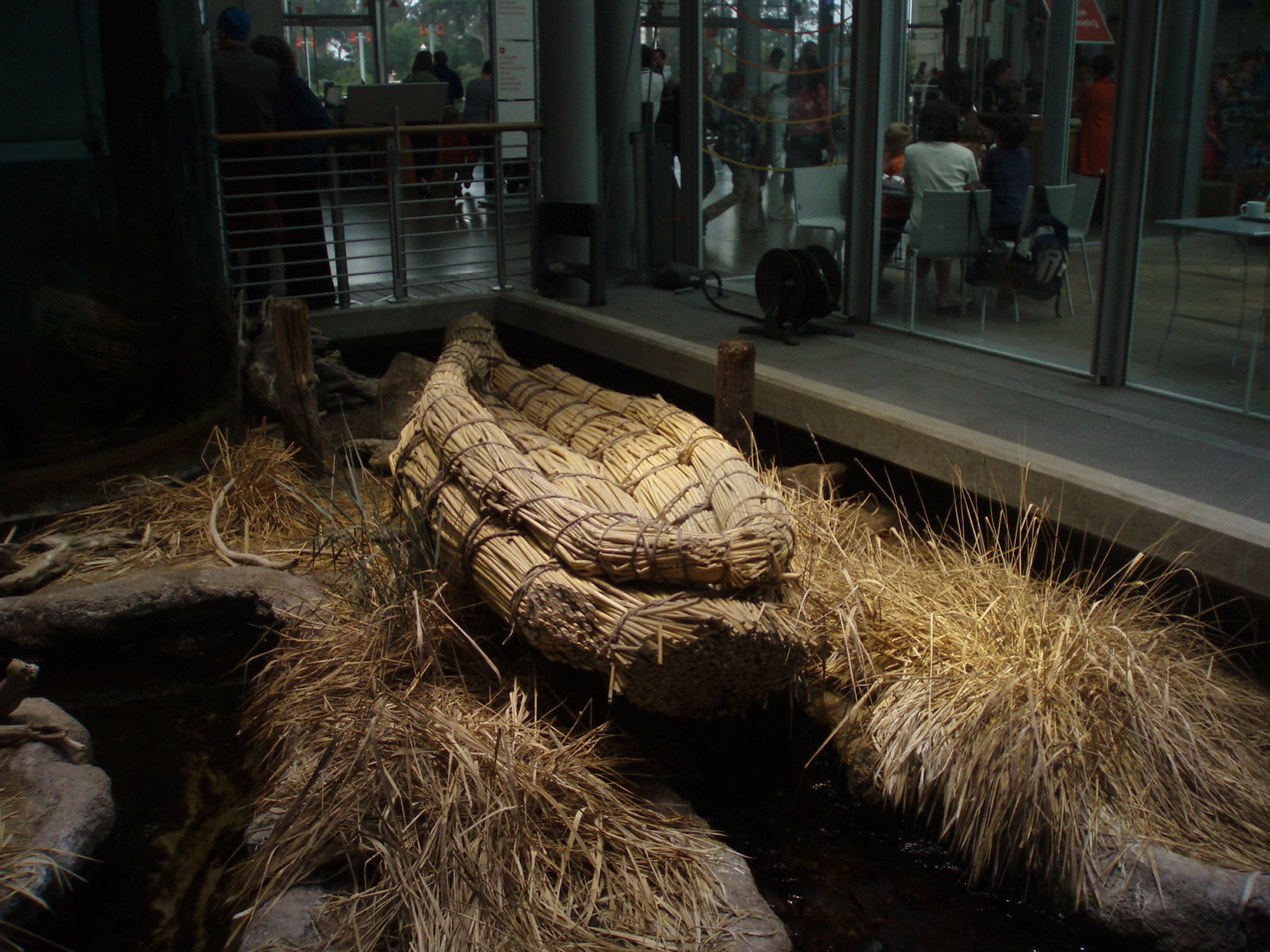 Our Small Corner: Friday Follow-up... Science This Week...