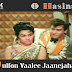 O Hasina Julfon Vaalee Jaanejahan /  ओ हसीना ज़ुल्फ़ों वाली जानेजहाँ /  Teesri Manzil (1966)
