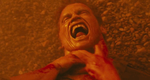 arnold%2Btotal%2Brecall.gif
