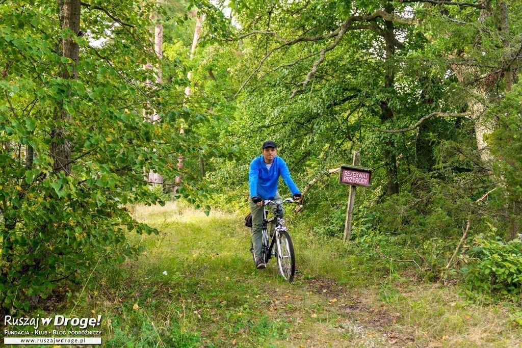 Kociewskie Trasy Rowerowe - Na Szlaku do Krzywego Koła
