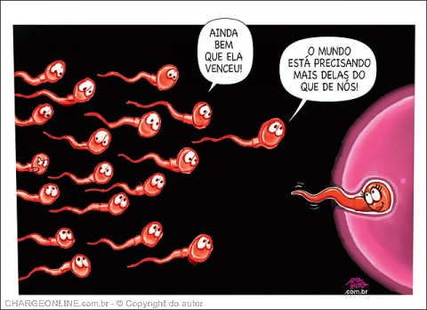 AUTO_amarildo2.jpg (480Ã348)