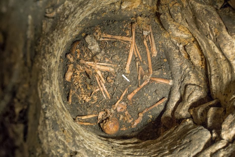 Carolingian-era mass grave discovered in France