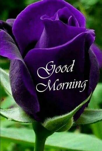 good morning sms with love