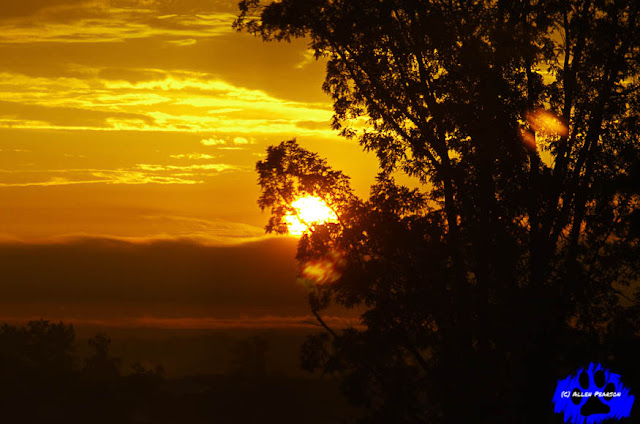 Sunrise Sun