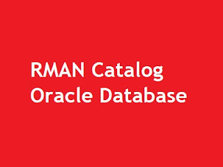 Dba Career Rman 06091 No Channel Allocated For Maintenance