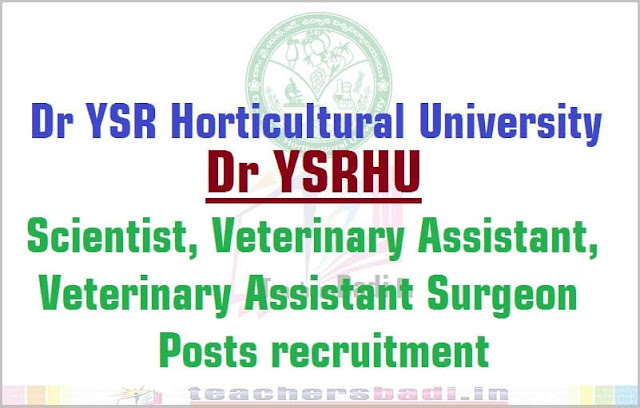 Dr YSRHU Scientist,Veterinary Assistant Surgeon,Veterinary Assistant Posts 2016 Dr YSRHU Scientist,Veterinary Assistant Surgeon,Veterinary Assistant Posts 2016