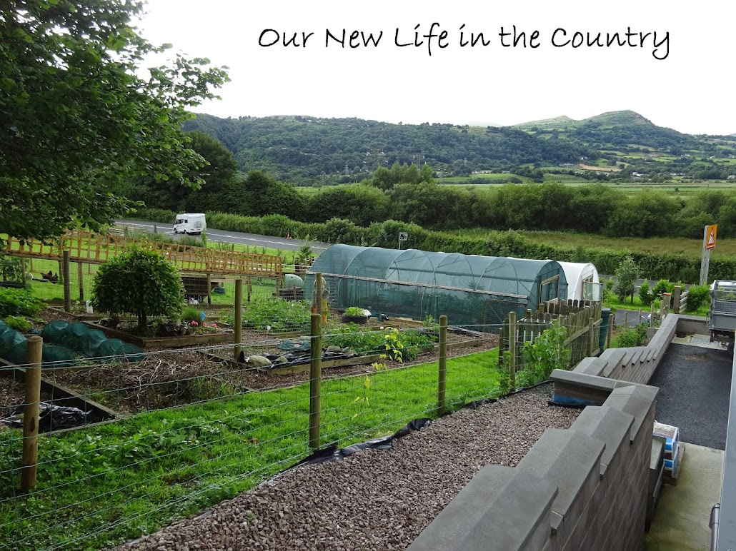 Our New Life in the Country