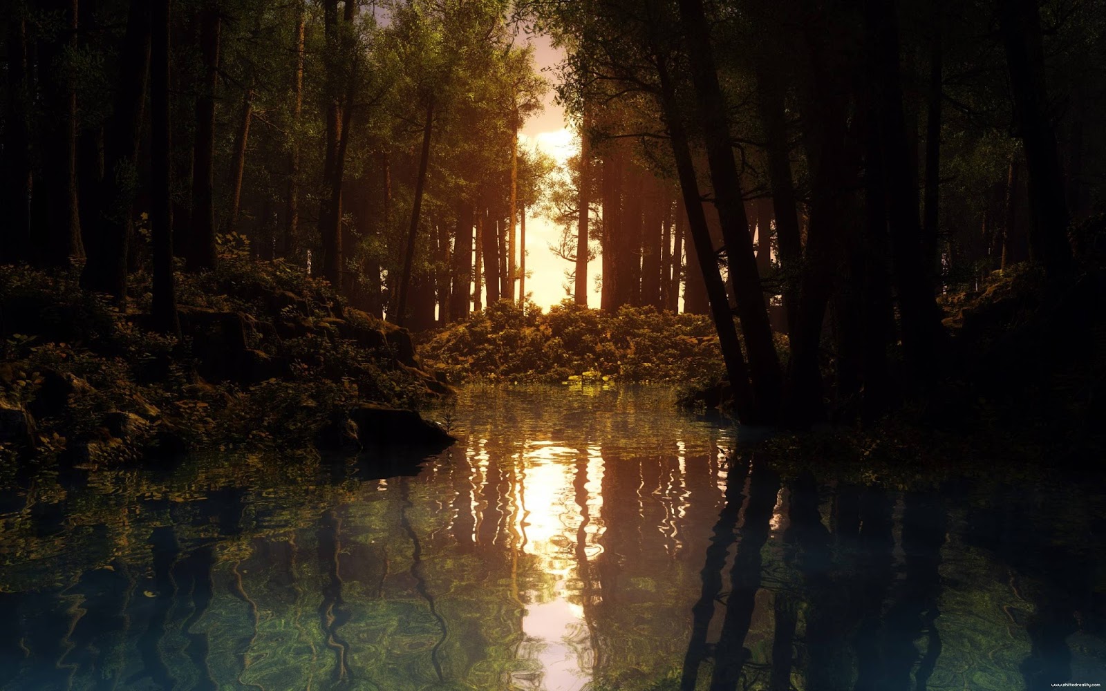 Forest Wallpapers Forest Wallpapers