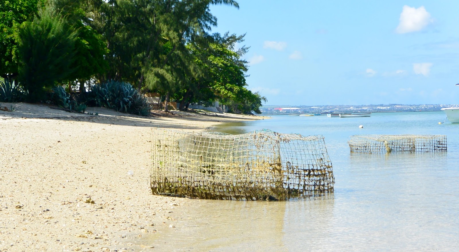 Randonnée Balade à pied Ile Maurice ETAPE 3 BAIE DU TOMBEAU PORT