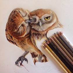 pencil realistic drawings animal owls robin gan wip designstack