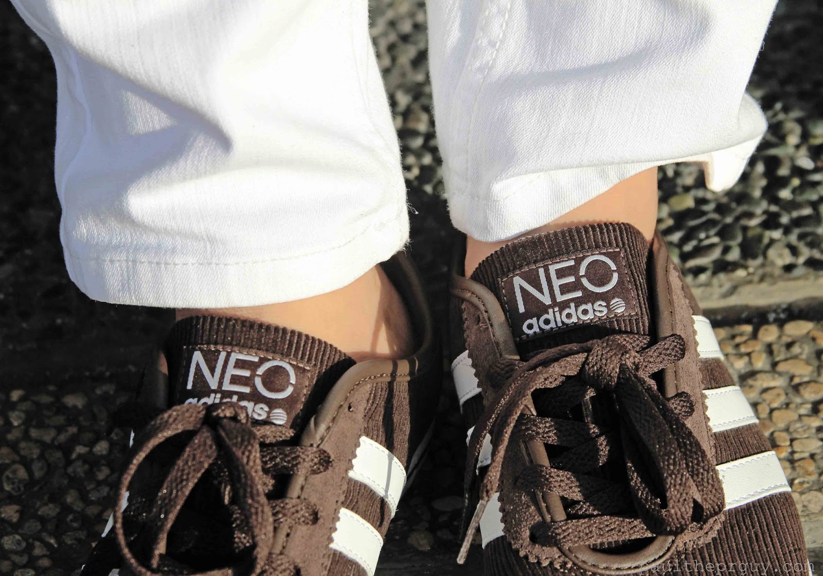 adidas neo adidas 