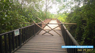 Wisata Mangrove Surabaya ekowisata hutan bakau sby