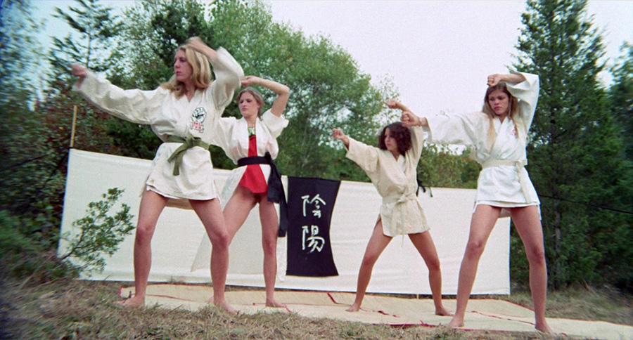 The Vixens of Kung Fu (1975) .
