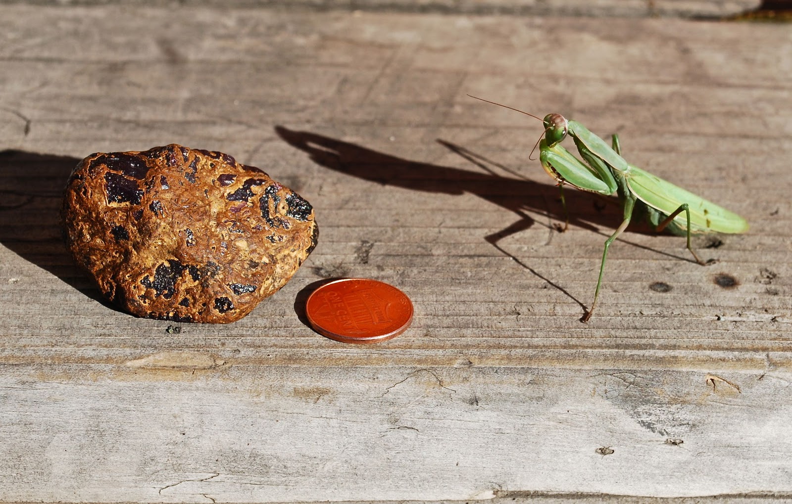 Chasing the Stars How to Clean Star Rough