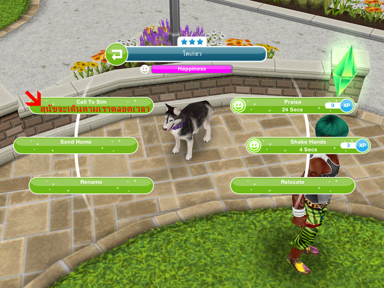 Disuke Taro The Sims Free Play Thailand 2024 เปิดสถานที่ฝึกสัตว์เลี้ยง