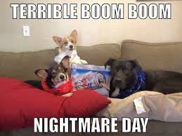 July 4th, 2017 best memes July 4th, 2017 best memes