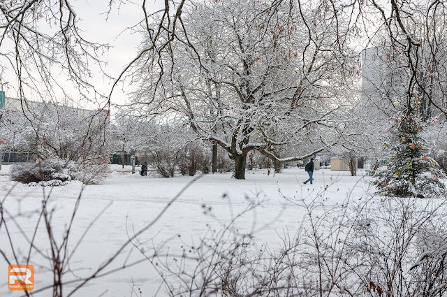 Ziema Jelgavā